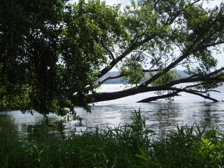 Карнаухівка з panoramio.com - Karnaukhivka