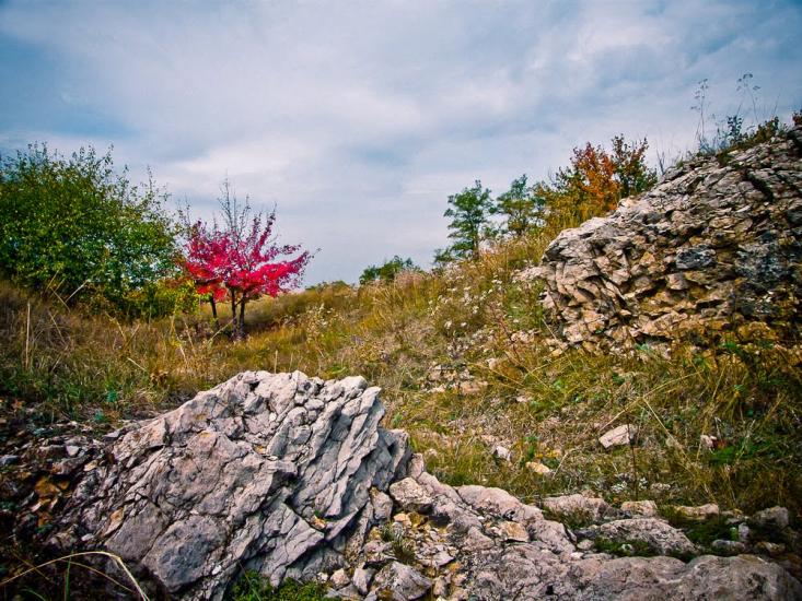 Стаханов з panoramio.com - Стаханов