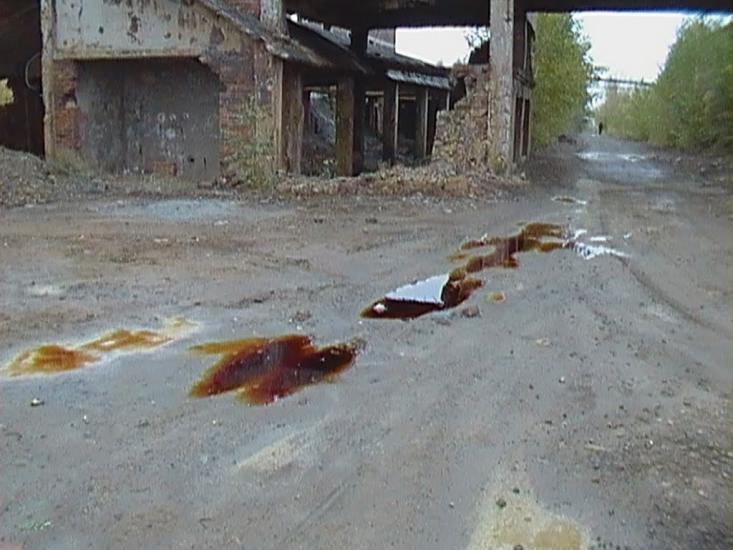 Петровське з panoramio.com - Петровское