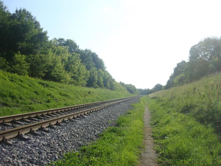 Чотирбоки з panoramio.com - Чотирбоки