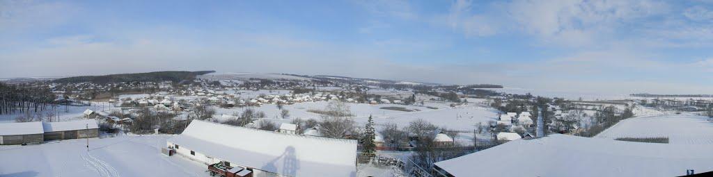 Нова Осота з panoramio.com - Новая Осота