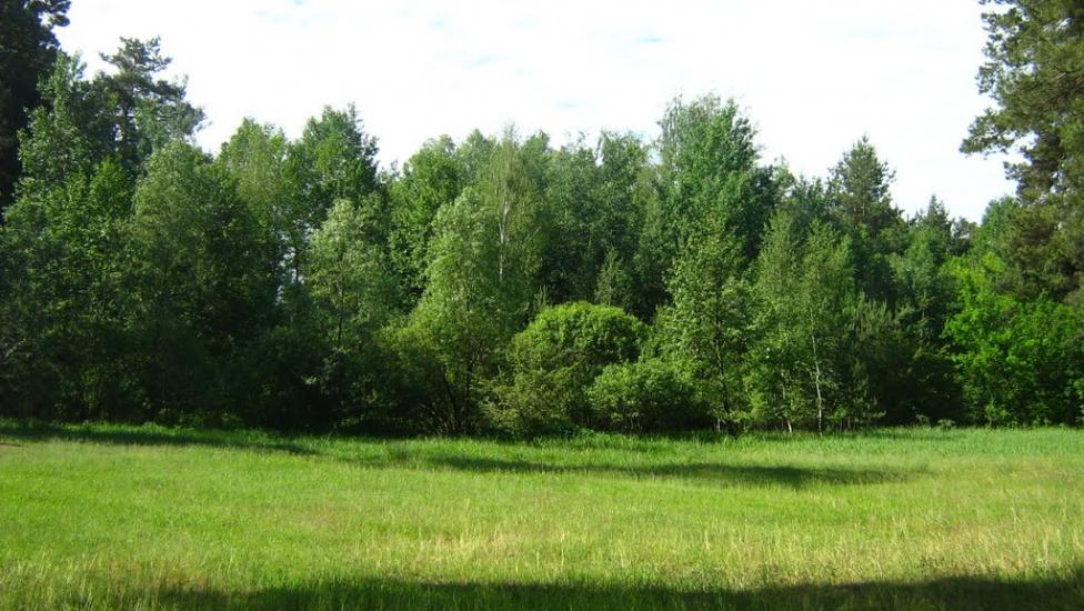 Колісники з panoramio.com - Колісники