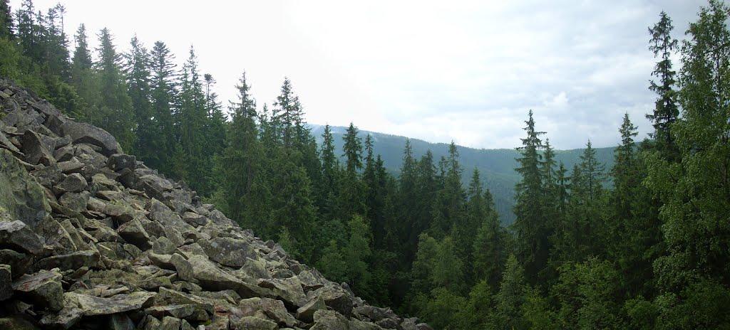 Максимець з panoramio.com - Maksymets