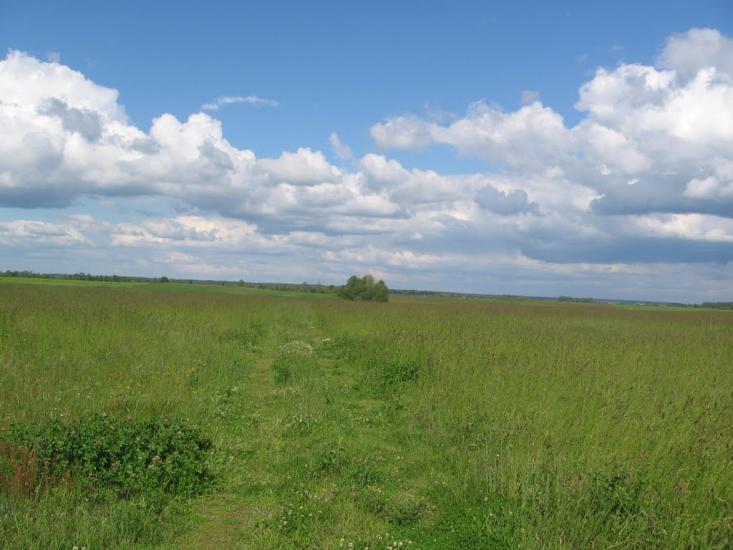 Терехівка з panoramio.com - Тереховка