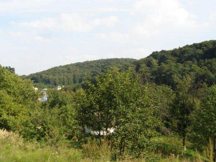 Бережани з panoramio.com - Бережани