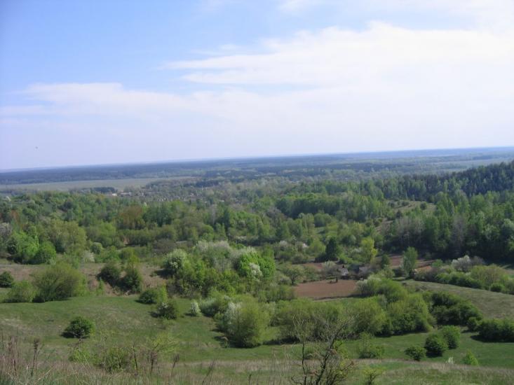 Межиріч з panoramio.com - Межирич