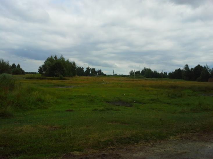 Сошники з panoramio.com - Сошники
