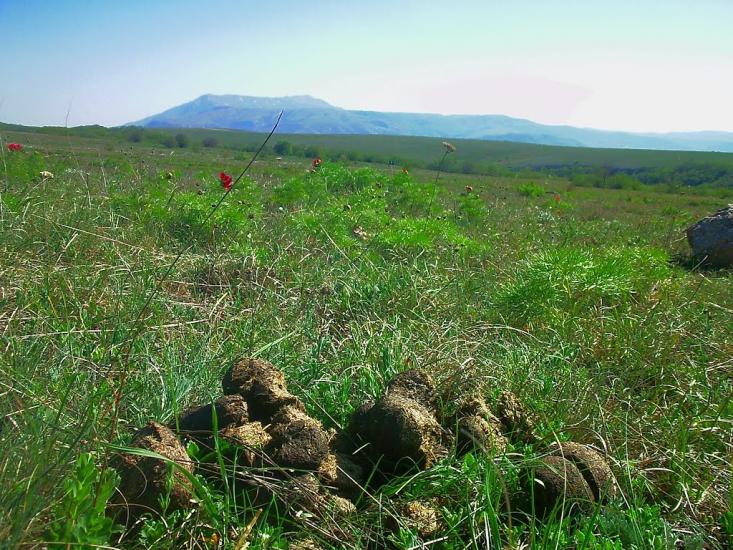 Дружне з panoramio.com - Дружне