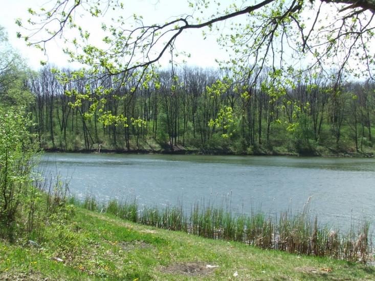 Лісне з panoramio.com - Лесное