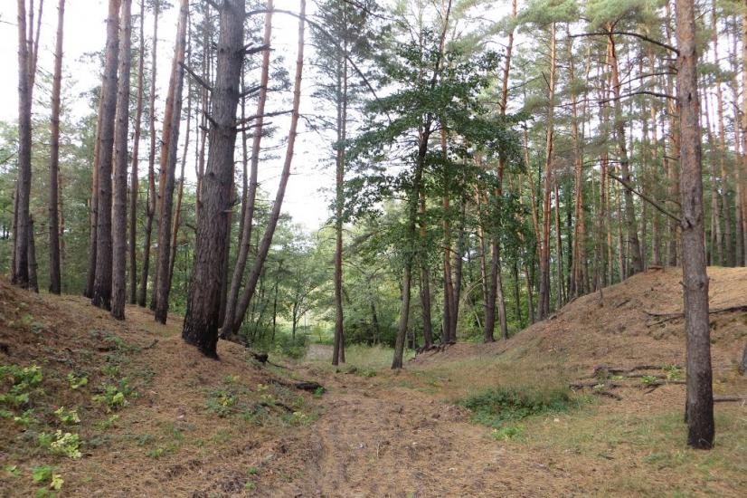 Макухівка з panoramio.com - Макухівка