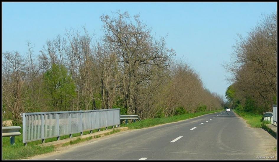 Бадалово з panoramio.com - Бадалово