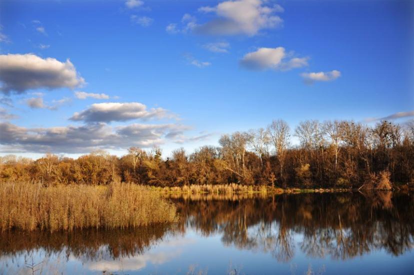 Сидорове з panoramio.com - Сидорове