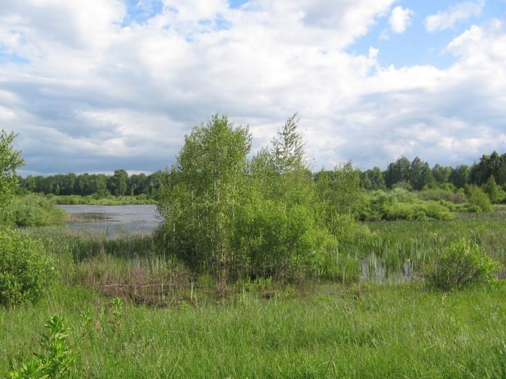 Терехівка з panoramio.com - Тереховка