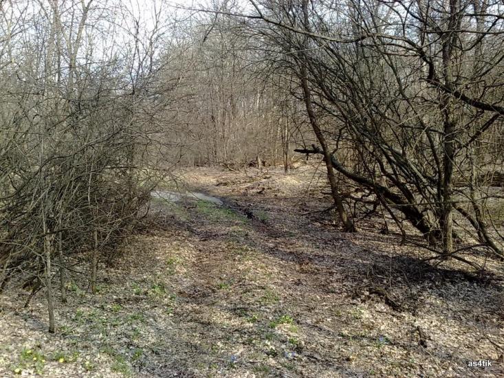 Щастя з panoramio.com - Счастье
