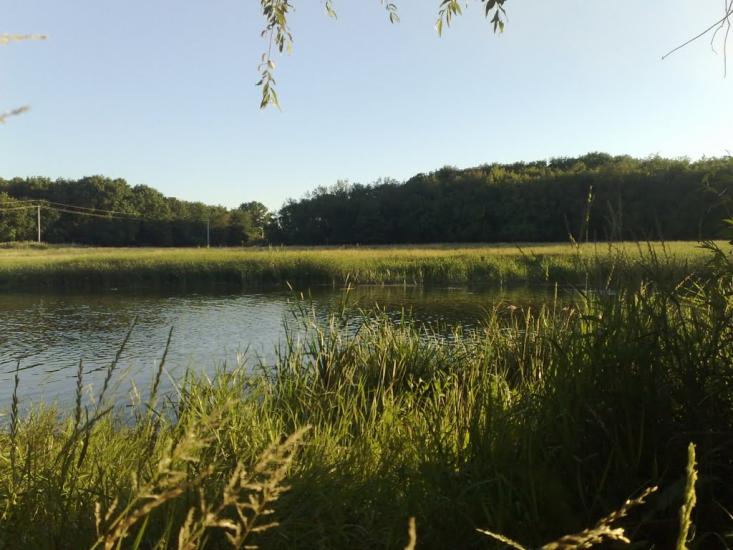 Геївка з panoramio.com - Гаевка