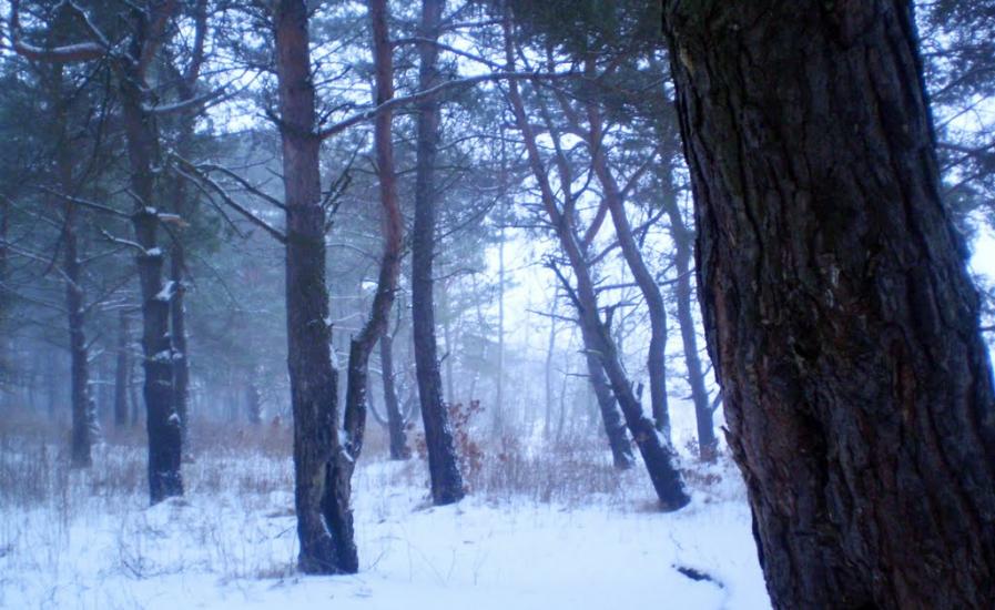 Рясне-Руське з panoramio.com - Рясное-Русское