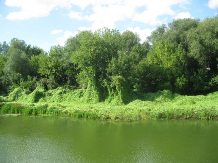 Городське з panoramio.com - Городское