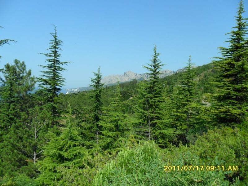Паркове з panoramio.com - Парковое