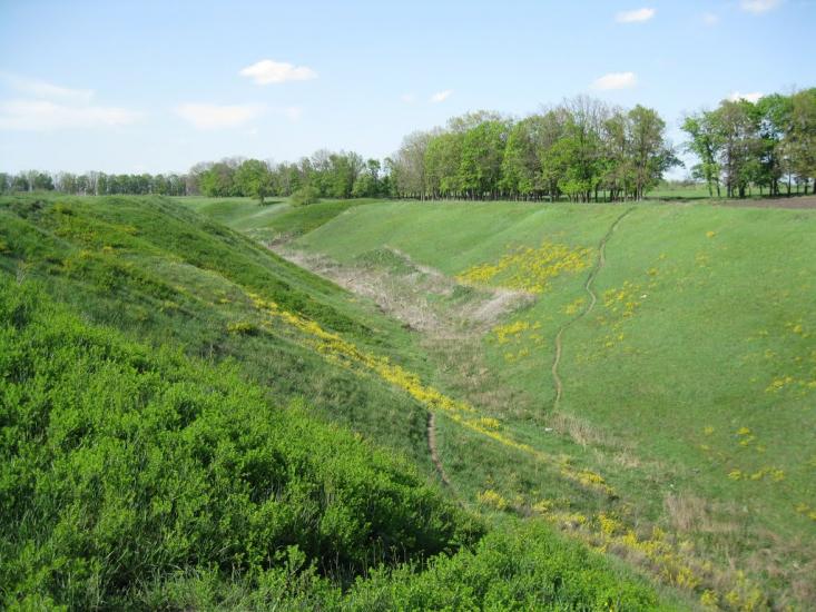 Кулиничі з panoramio.com - Кулиничі