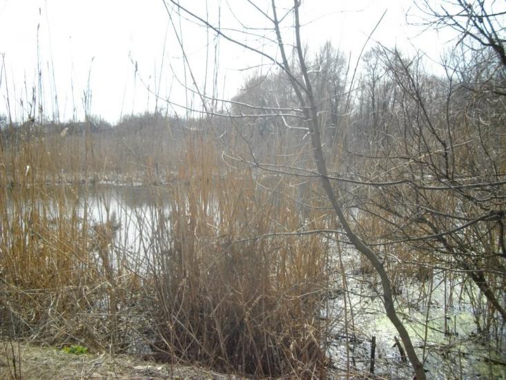 Ковильне з panoramio.com - Ковыльное