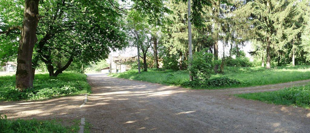 Черниця з panoramio.com - Черниця