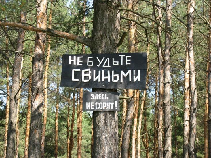 Циркуни з panoramio.com - Циркуни
