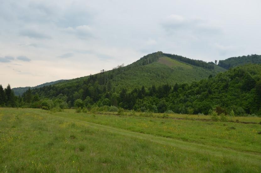 Крушельниця з panoramio.com - Крушельница
