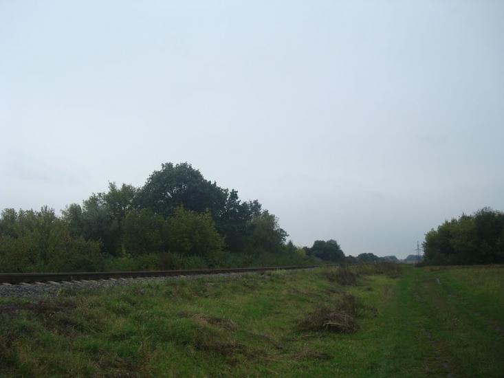 Григорівка з panoramio.com - Григорівка