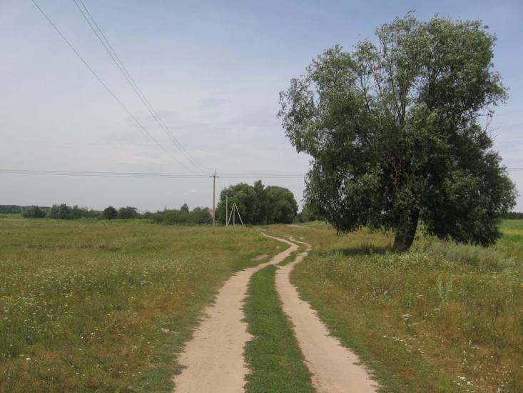 Роїще з panoramio.com - Роїще