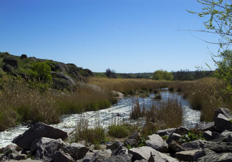 Токівське з panoramio.com - Tokivske