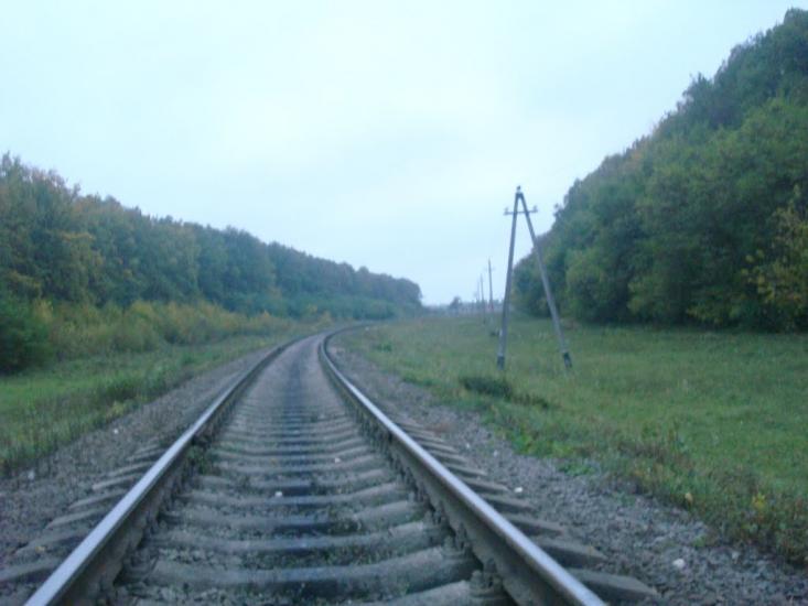 Волудринці з panoramio.com - Voludryntsi