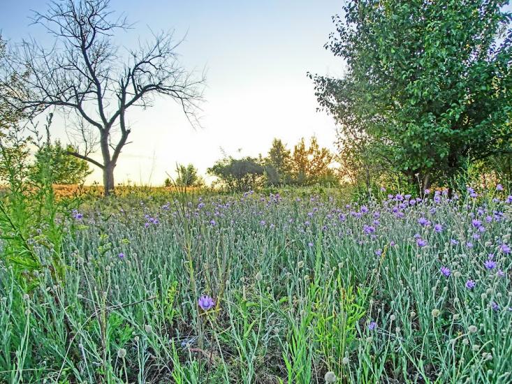 Головківка з panoramio.com - Головковка