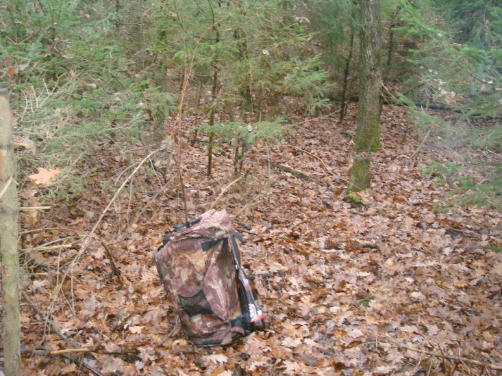 Радісне з panoramio.com - Радісне