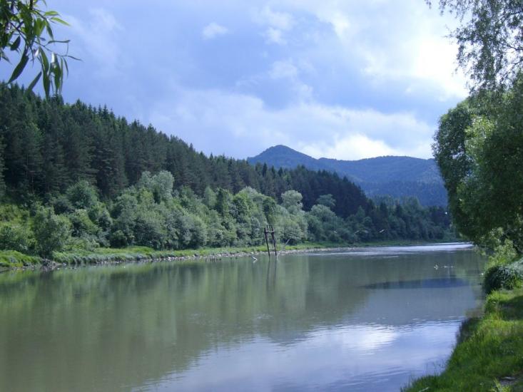 Рибник з panoramio.com - Rybnyk