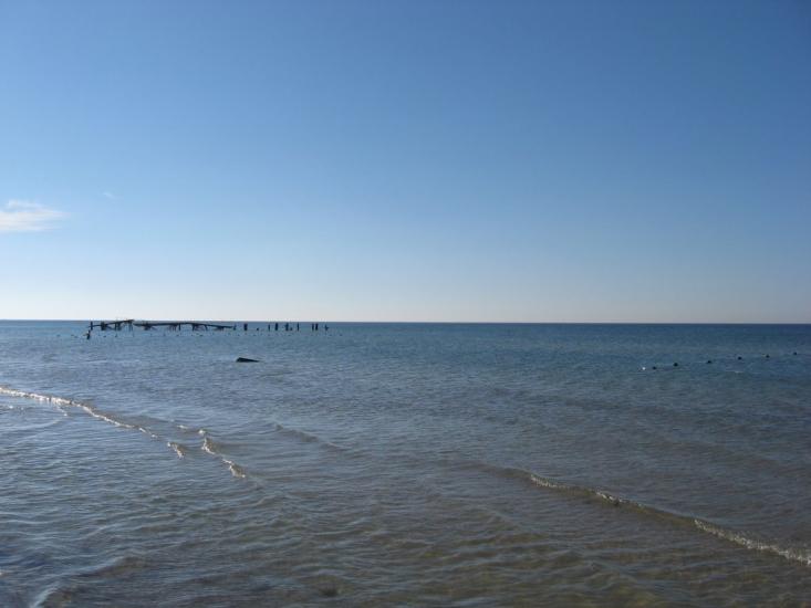 Коблеве з panoramio.com - Коблево