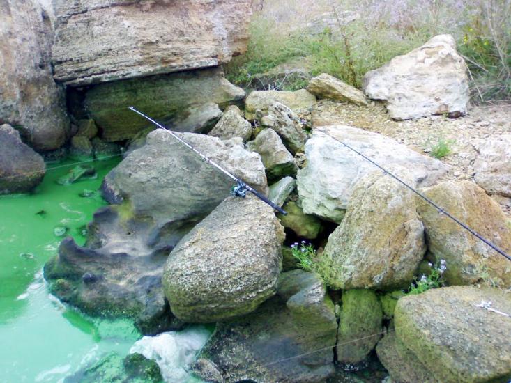 Велика Балка з panoramio.com - Великая Балка
