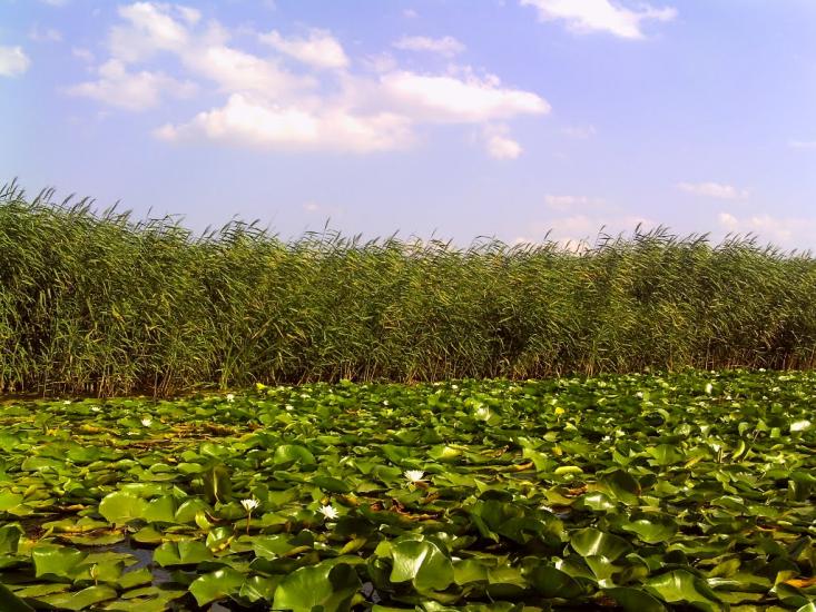 Гур'ївка з panoramio.com - Гурьевка