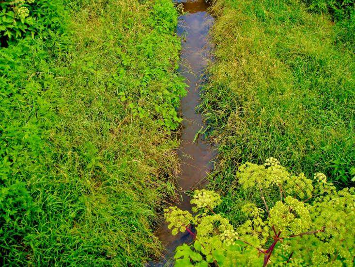 Звенигородка з panoramio.com - Звенигородка