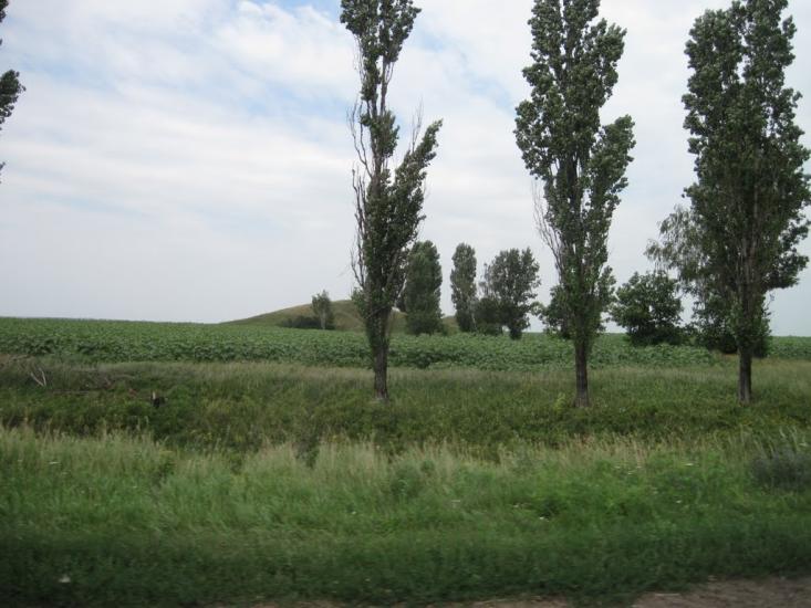 Новий Стародуб з panoramio.com - Новый Стародуб