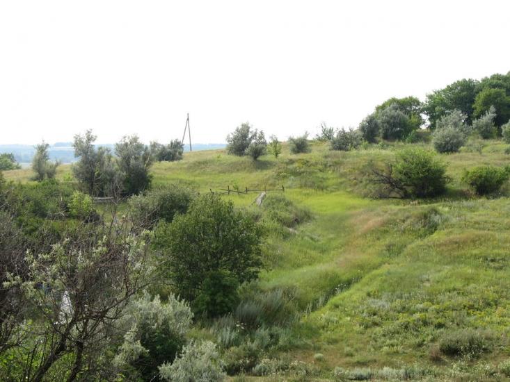 Коновалівка з panoramio.com - Коновалівка