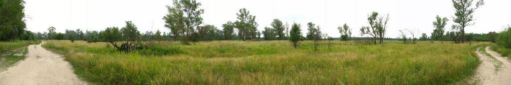 Глоди з panoramio.com - Glody