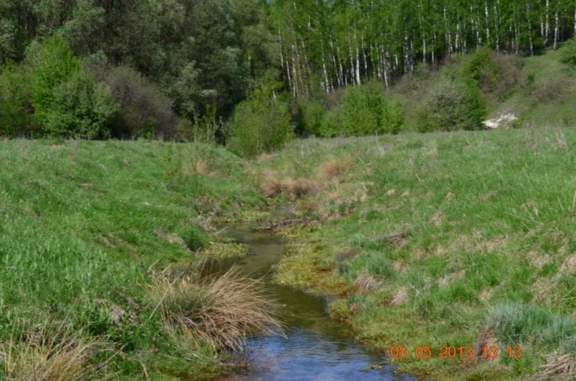 Нова Слобода з panoramio.com - Новая Слобода