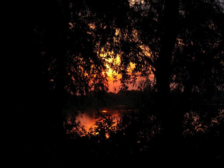 Ставки з panoramio.com - Ставки