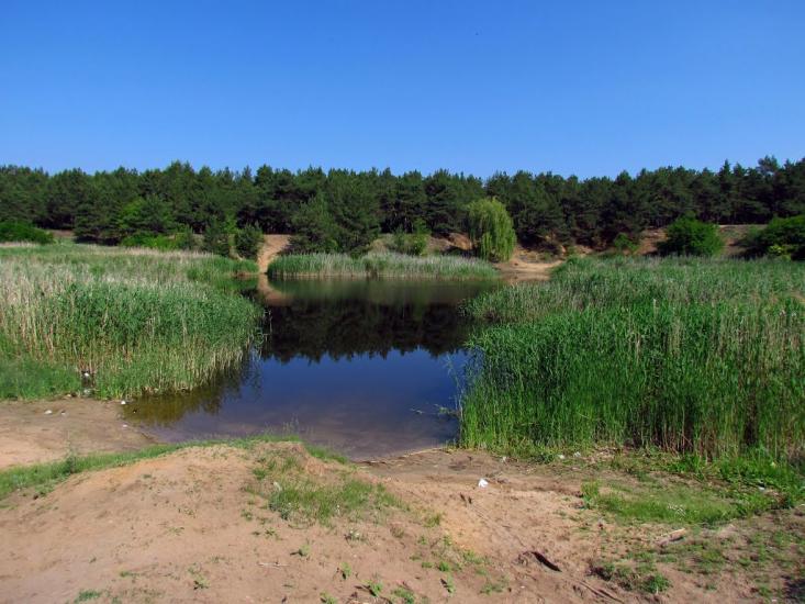 Широке з panoramio.com - Широкое