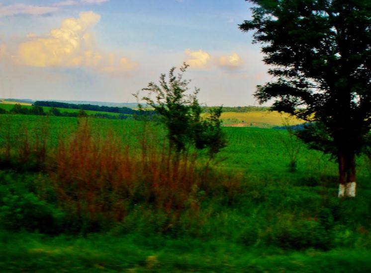 Хижинці з panoramio.com - Хижинці