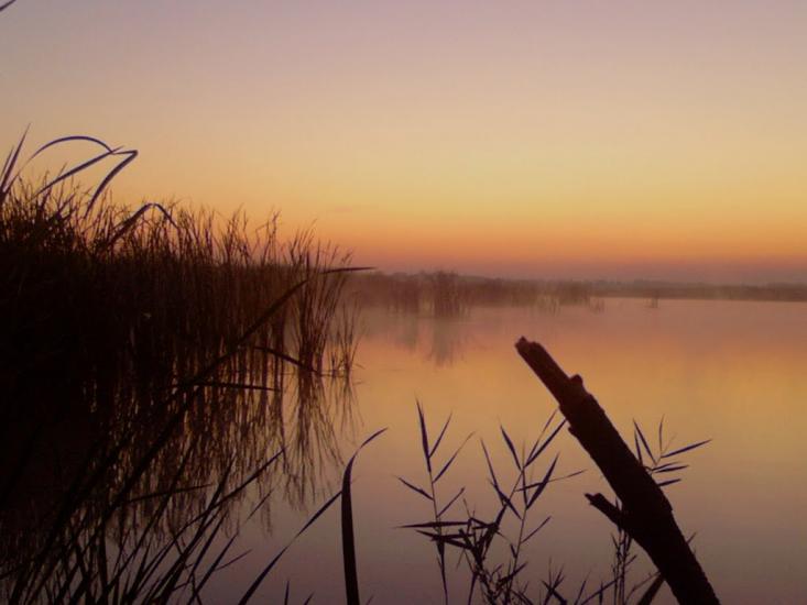 Вільхове з panoramio.com - Вільхове