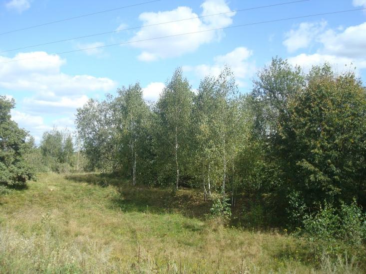 Михайлючка з panoramio.com - Михайлючка