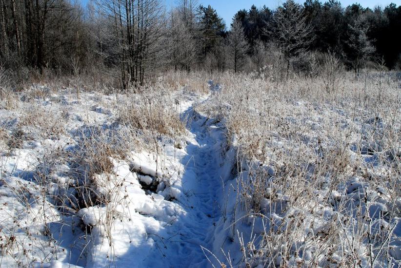 Довжик з panoramio.com - Довжик