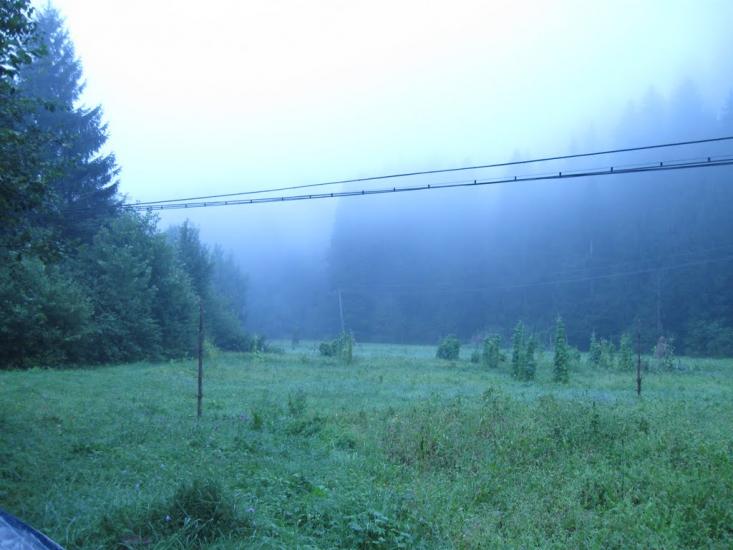 Сойми з panoramio.com - Soymy