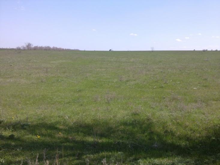 Лимани з panoramio.com - Лиманы